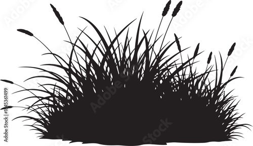 Cattail grass silhouette in black and white