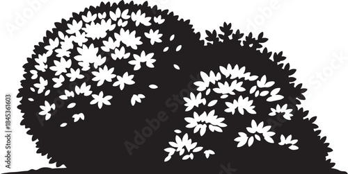 Black and white flowering shrub silhouette