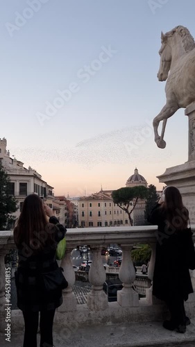 Landscape of Rome with flock of birds in winter time
