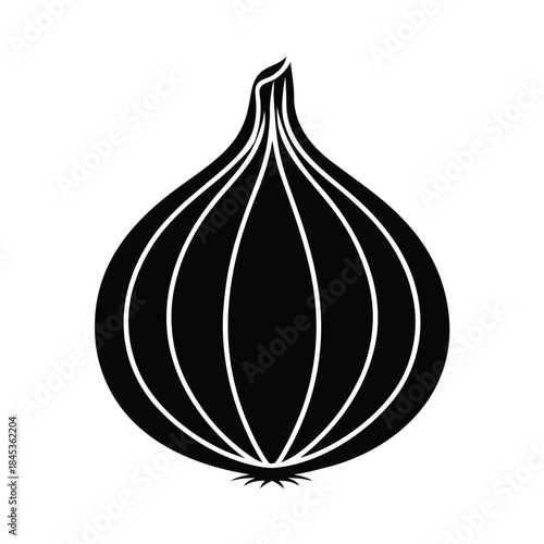 Onion Vector Illustration