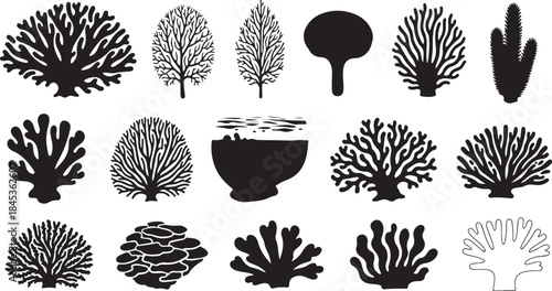 Collection of black and white coral silhouettes