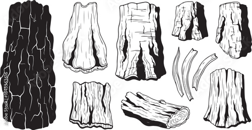 Collection of detailed tree bark and wood textures
