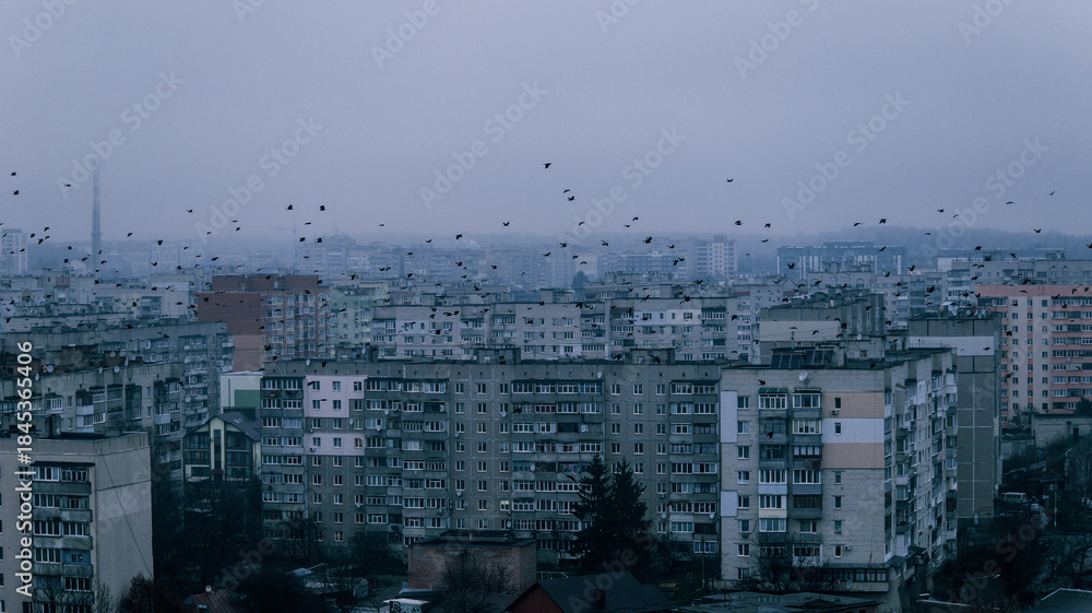 Fototapeta premium Flock of birds flying over a dense cityscape of Soviet-era apartment buildings