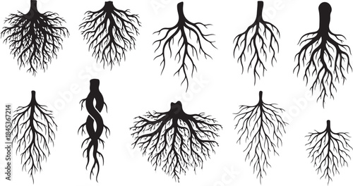 Collection of diverse black root silhouettes