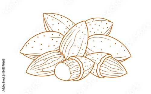 Line art featuring almonds. The components are clustered.

