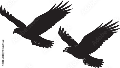 Black silhouette illustration of two hawks or eagles soaring through the air