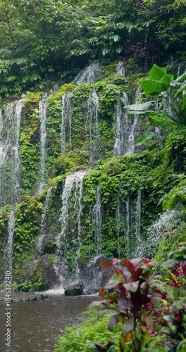 Scenic waterfall cascading over mossy rocks in tropical forest, vertical footage