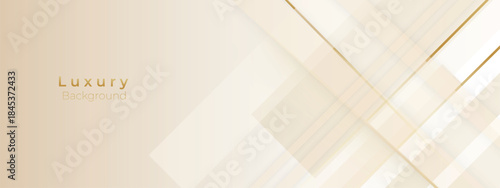 Luxury Cream and Beige Abstract Background with golden lines. Elegant wave shape for premium design, branding layout, and wedding event.