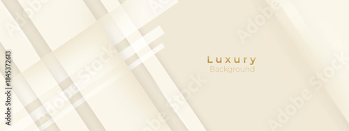 Luxury Cream and Beige Abstract Background with golden lines. Elegant wave shape for premium design, branding layout, and wedding event.
