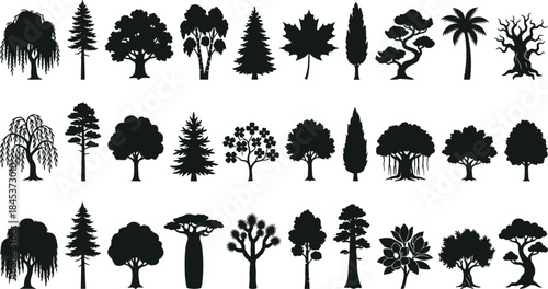 Tree silhouette collection set, various forest and tropical trees, black nature icons, botanical shapes isolated on white background