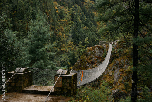 A suspension bridge connects two rocky edges over a deep valley. Trees surround the bridge in autumn colors. The sky is overcast, making the scene look moody