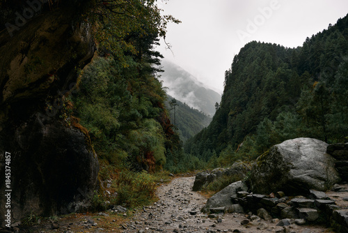 A group of hikers navigates a rocky trail that runs through tall trees and steep mountains. Clouds cover the peaks, creating a misty landscape in Nepal's wilderness