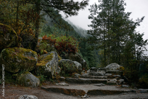 A stone pathway winds through a forest covered in fog. Large rocks and moss are present along the trail. Tall trees and shrubs add to the natural setting. Morning light filters through the leaves