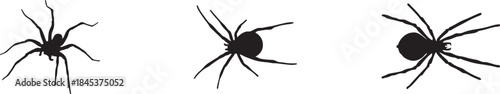 Realistic Spider Silhouette Crawling Insect Shape Dark Fear Concept Art