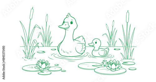 Lovely goose character, sailing duck, line drawing, hand-crafted illustration for a coloring book or page. Swamp or pond
