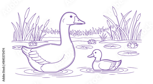Adorable goose character, drifting duck, outlined art, hand-drawn design for a coloring book or page. Wetland or marsh

