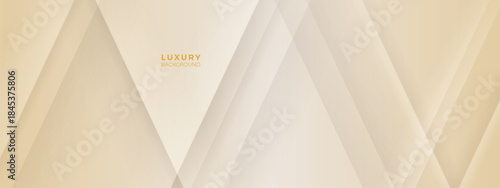 Luxury Cream and Beige Abstract Background with golden lines. Elegant wave shape for premium design, branding layout, and wedding event.