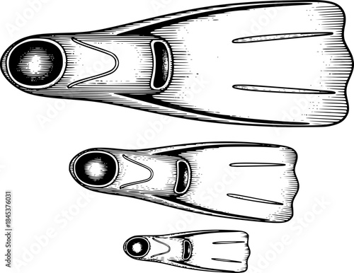 Engraved illustration of three different sized swim fins on white background
