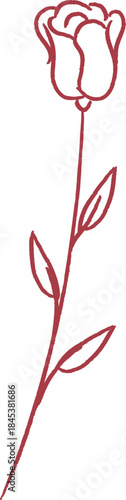 Rose Stem Line Drawing