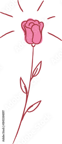 Rose Blooming Sketch