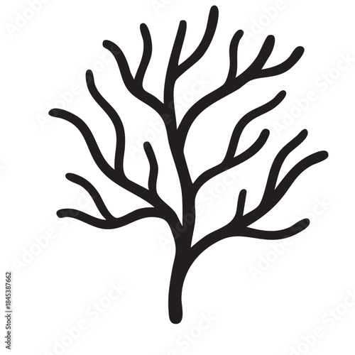 Leafless Tree Branch Structure Showing Bare Winter Branches Dormant Season Skeletal Limbs Natural Silhouette Seasonal Environmental Change