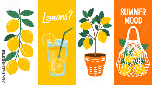 Lemon Summer Illustrations with Fresh Drinks and Plants