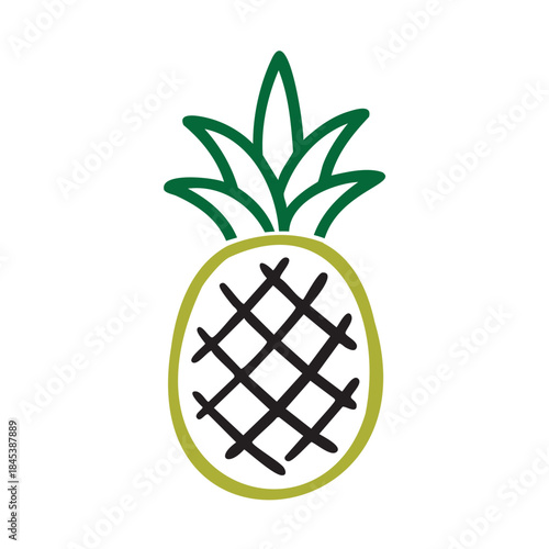 Decorative Pineapple Illustration with Geometric Cross Hatch Pattern Design Tropical Theme Artistic Stylized Fruit Graphics Creative Artwork