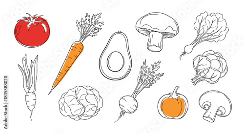 A fresh and healthy collection of hand-drawn vegetables with colorful accents, including tomato, carrot, and avocado sketches.