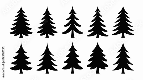 Black Silhouettes of Pine Trees on White Background
