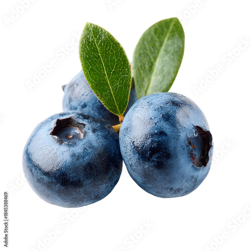 Photo of blue berry isolated on with white background