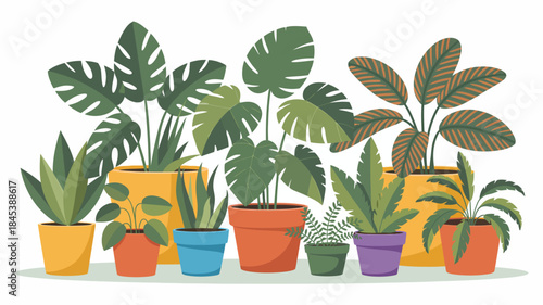 Colorful Indoor Plants in Pots on a Shelf