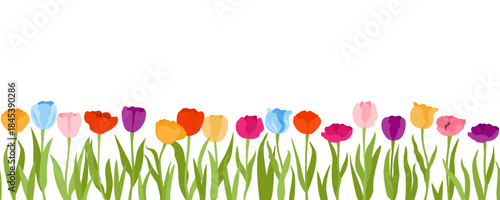 Bright tulips horizontal banner. Spring colorful flowers on a white background. Elegant festive border. Seamless vector pattern on a white background.