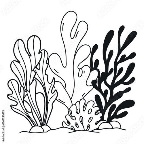 Simple black and white line art illustration of diverse marine flora on the seabed