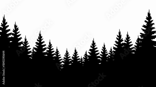 Silhouette of Evergreen Trees on White Background