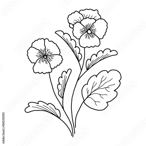 Hand drawn violet flowers and leaves outline vector. Detailed floral bouquet sketch line art