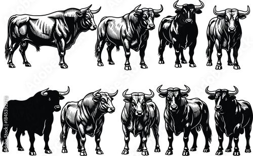 Mighty bulls vector collection, hand-drawn aggressive horned cattle for ranch branding, farm logos, and Western-themed artwork, black and white.