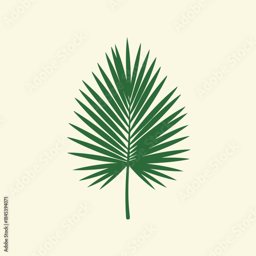 Detailed illustration of a vibrant green palmetto leaf on beige.