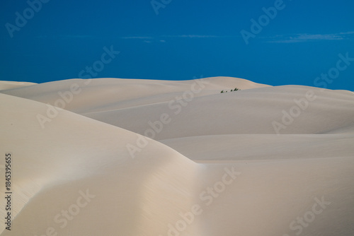 Viana Desert in Boa Vista: golden dunes under a blue sky