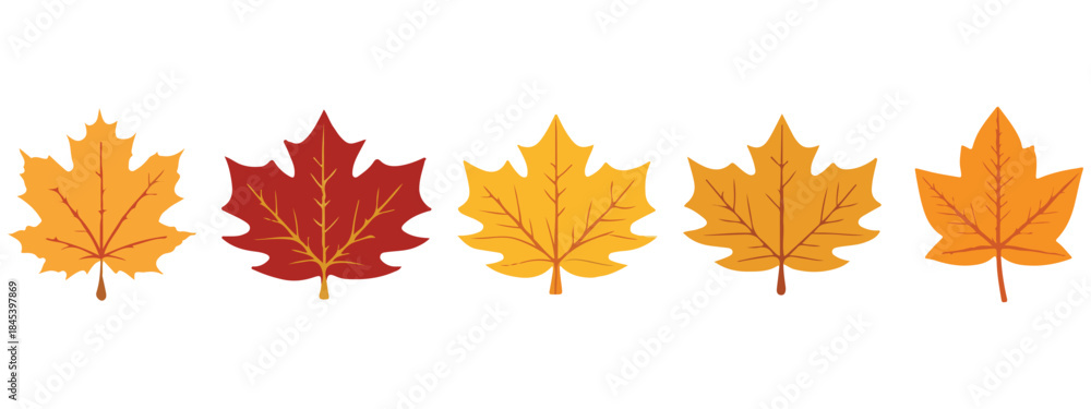 Fototapeta premium Autumn Leaves Vector Pack – Fall Foliage Clipart Illustrations