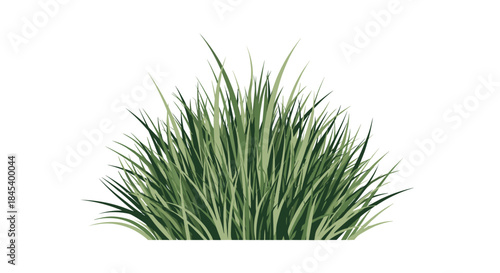Tuft of green grass blades with varying shades rises from a clean white backdrop creating a fresh natural texture with soft highlights.