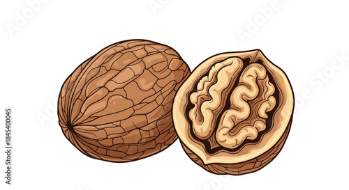 Nutritious walnuts shown with a whole shell beside a cracked walnut exposing the wrinkled kernel inside and highlighting natural textures and colors.