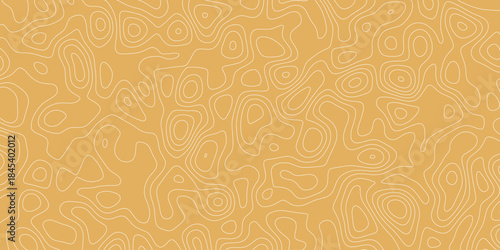 abstract seamless background. Topographic map backdrop. Conditional geography scheme and the terrain path.