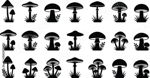Black mushroom silhouette icon set featuring forest fungi shapes, botanical nature elements, minimal vector collection for design, print, branding, and UI