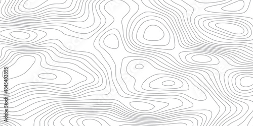 Seamless monochrome topographic contour lines forming an abstract geological terrain, with soft gray wavy elevations creating a minimalist vector texture for modern design and visual identity