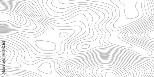 Minimal abstract topographic contour line pattern in soft gray tones, featuring seamless organic elevation curves inspired by maps, ideal as a modern monochrome background for branding and design