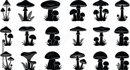 Black mushroom silhouettes collection featuring forest fungi icons, botanical nature elements, organic shapes, minimal vector symbols for design, print, branding, decoration