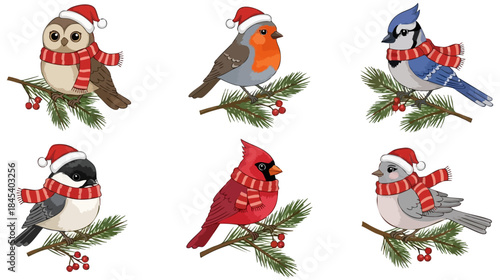 Cute Christmas Winter Birds Vector Art Transparent Background