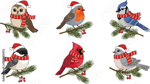 Cute Christmas Winter Birds Vector Art Transparent Background