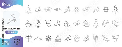 Winter Holiday and Sports Line Icons Collection