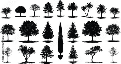 Collection of tree silhouettes including palm pine oak and deciduous trees isolated flat vector set for landscape nature design use